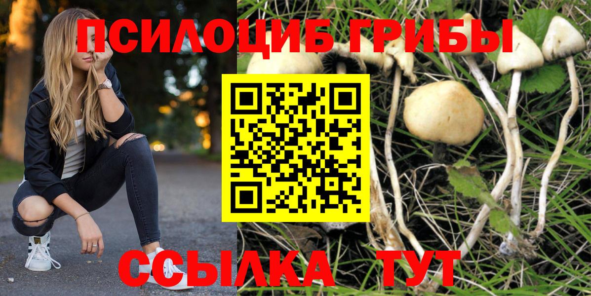 Псилоцибиновые грибы MAGIC MUSHROOMS  Псилоцибиновые грибы MAGIC MUSHROOMS  Вход с VPN  Златоуст 