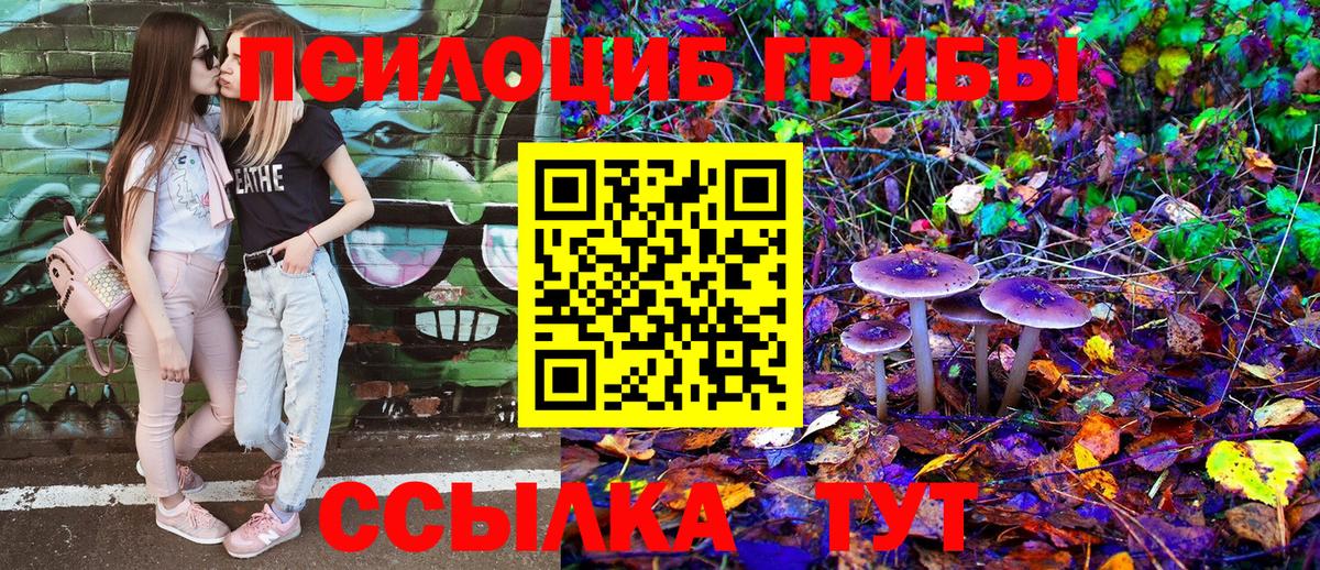 Галлюциногенные грибы GOLDEN TEACHER Златоуст
